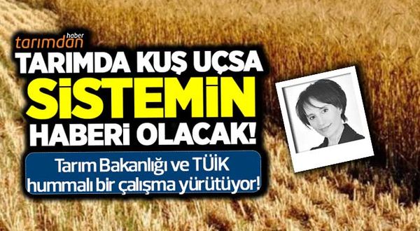 Acil tarım sayımı yapılmalı! TÜİK'ten 'Tarım Entegre Sistemi'