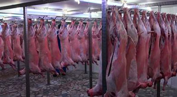 Et ve Süt Kurumu karkas et alım fiyatını artırdı! ESK üreticiden kaç liradan kuzu alacak?