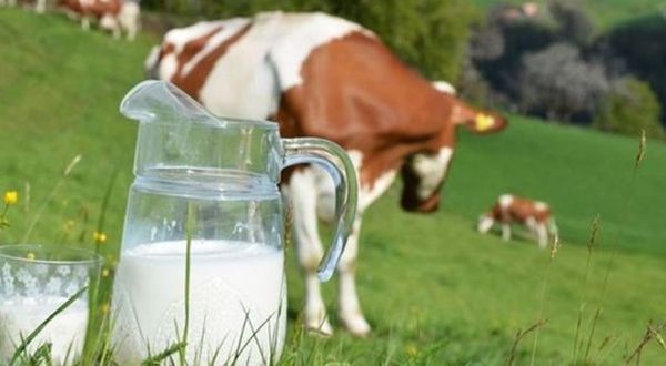 Çiğ sütte yeni fiyat! Ulusal Süt Konseyi'nin çiğ süt fiyatı bir gün bile gitmedi! Süt fiyatı 9 liraya çıktı!