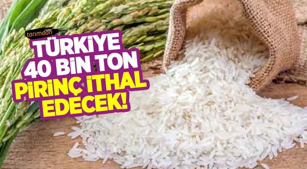 Türkiye 40 bin ton pirinç ithal edecek!