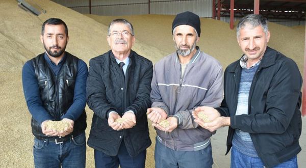 TMO, Malatya'da talep eden çiftçiye 1000 ton yemlik arpa verecek!