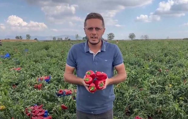 Biberi para etmeyen çiftçi: Keşke domates biber ekmek yerine Dilan Polat gibi güzellik merkezi açsaydım!