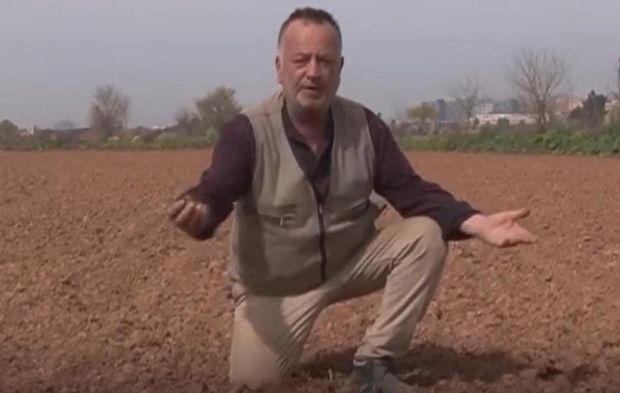 Tarım Kredi'nin faturasız sattığı yonca tohumu yeşermedi çiftçi mağdur oldu!