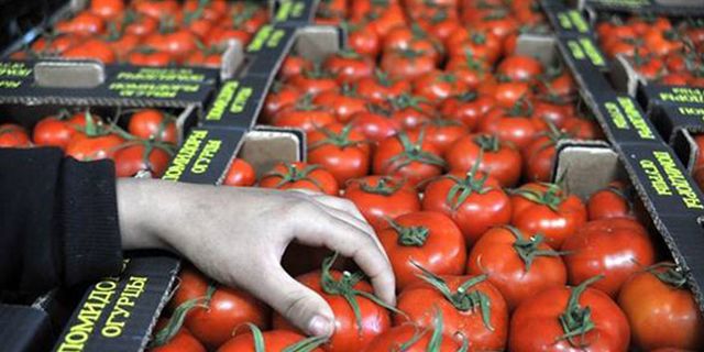 Muğla 26 bin ton domates ihraç etti