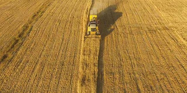 Buğday ekim alanı son 20 yılda 2.5 milyon hektar daraldı!