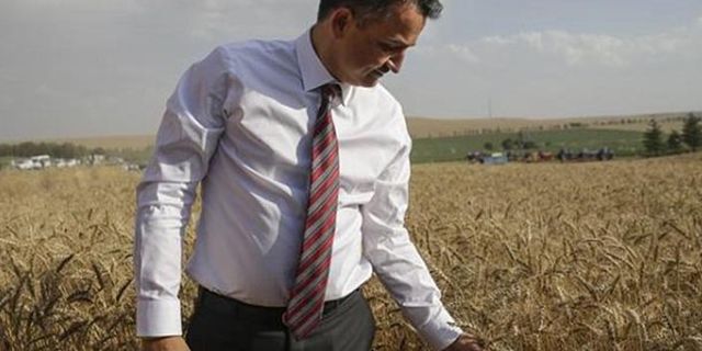 Tarım Bakanı ithal buğdayla ilgili verileri açıklamadı