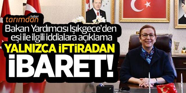 Bakan Yardımcısı Işıkgece'den eşi ile ilgili iddialara açıklama: Yalnızca iftiradan ibaret!