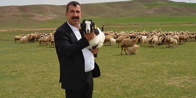 TÜDKİYEB Başkanı Çelik'ten Tarım Bakanına sürü büyütme ve çoban desteği teşekkürü!