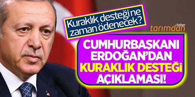 Kuraklık desteği ne zaman ödenecek? Cumhurbaşkanı Erdoğan tarih verdi!