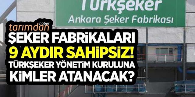 Şeker fabrikaları 9 aydır sahipsiz! Türkşeker Yönetim Kurulu'na kimler atanacak?