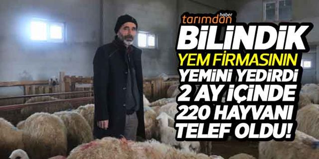 Türkiye'nin önde gelen yem firmasının yemini yedirdi 2 ay içinde 220 hayvanı telef oldu!