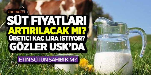 Süt fiyatları artırılacak mı? Üretici kaç lira fiyat bekliyor? Gözler Ulusal Süt Konseyi’nde 