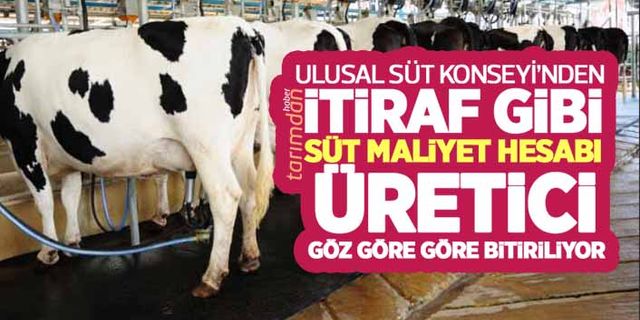 Ulusal Süt Konseyi'nden itiraf gibi çiğ süt maliyet hesabı! Süt üreticisi göz göre göre bitiriliyor!