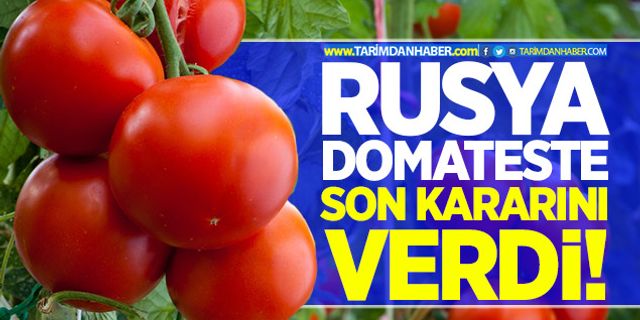 Rusya domateste son kararını açıkladı