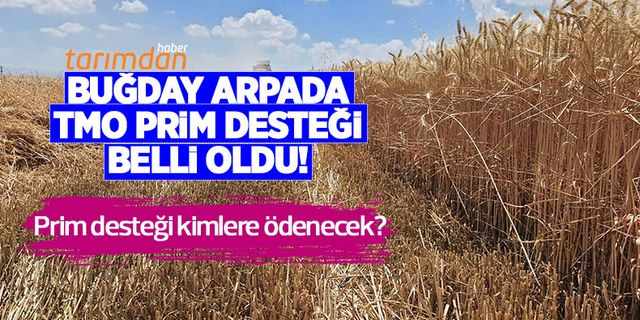 Buğday arpada TMO prim desteği belli oldu! Çiftçi ne kadar prim desteği alacak?