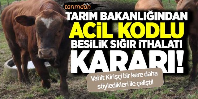 Türkiye 150 bin baş besilik sığır ithal edecek! Tarım Bakanlığından besilik sığır ithalatı duyurusu!