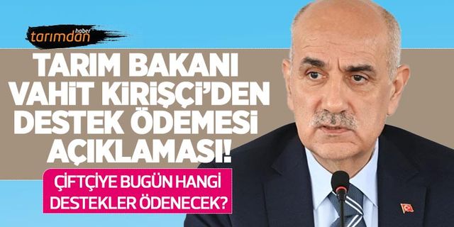 Tarım Bakanı Vahit Kirişçi’den tarımsal destek ödemesi açıklaması! 19 Ağustos hangi destekler ödeniyor?