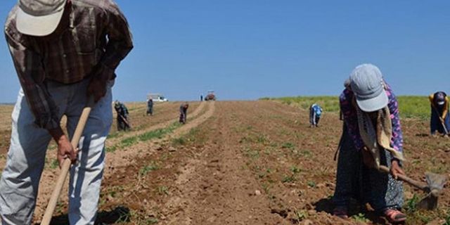 Tarım Bakanlığı duyurdu: Çiftçiye 12.8 milyon lira destek ödemesi yapıldı! 10 Mart hangi destekler ödendi?