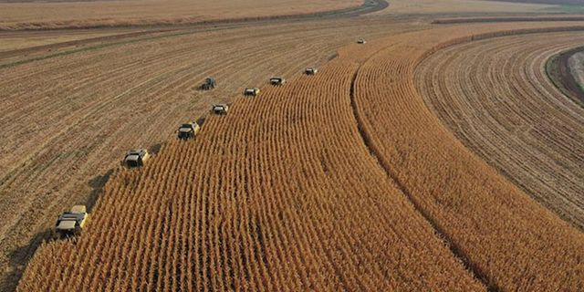 TMO destekleme icmalleri askıda! Buğday arpa prim desteği ödemesinden mağdur olmamak için lütfen icmalleri kontrol edin!