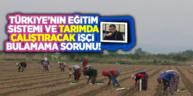Türkiye'nin eğitim sistemi ve tarımda çalışacak işçi bulunamaması!
