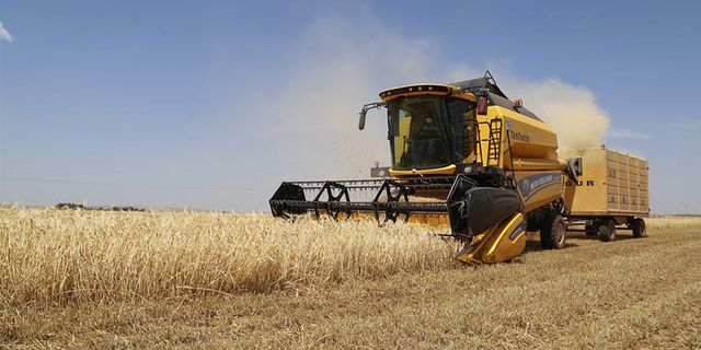 TMO, 2022'de çiftçiden ne kadar buğday arpa aldı? Tarım Bakanı alım rakamlarını açıkladı!