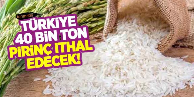 Türkiye 40 bin ton pirinç ithal edecek!