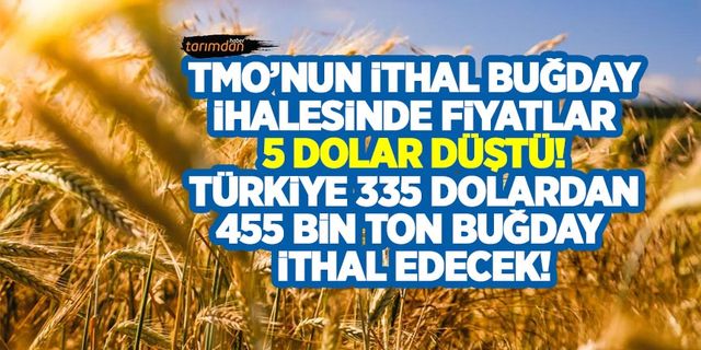 TMO'nun ithal buğday ihalesinde fiyatlar 5 dolar düştü! Türkiye 335 dolardan 455 bin ton buğday ithal edecek!