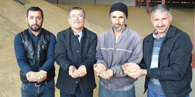 TMO, Malatya'da talep eden çiftçiye 1000 ton yemlik arpa verecek!