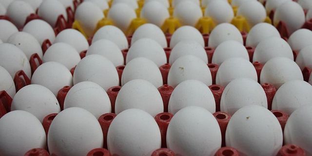 Tarım Kredi Market yumurta fiyatlarında indirime gitti! 30'lu yumurta fiyatında 3.8 liralık indirim!