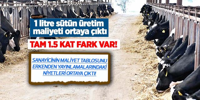 1 litre sütün üretim maliyeti ortaya çıktı! Tam 1.5 katı fark oluştu! Süte yeni zamlar kapıda!