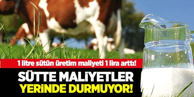 Ulusal Süt Konseyi Ocak ayı çiğ süt üretim maliyetini açıkladı! 1 litre sütün maliyeti 1 lira arttı!