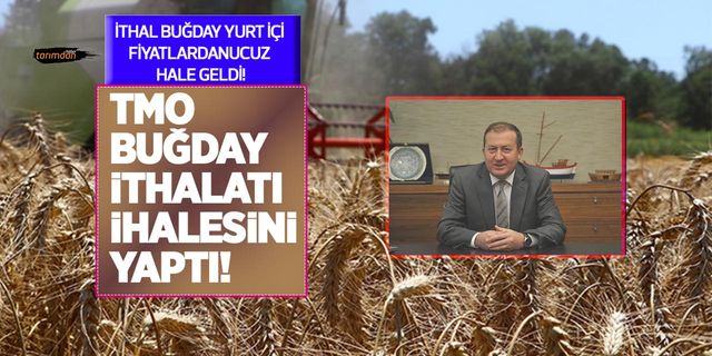 TMO buğday ithalatı ihalesini yaptı: İthal buğday fiyatları yurt içi fiyatlardan ucuz hale geldi!