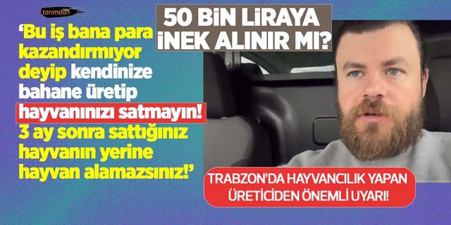 50 bin liraya inek alınır mı? İnek, buzağı fiyatları düşer mi? Süt üreticisinden önemli uyarı hayvanınızı satmayın!