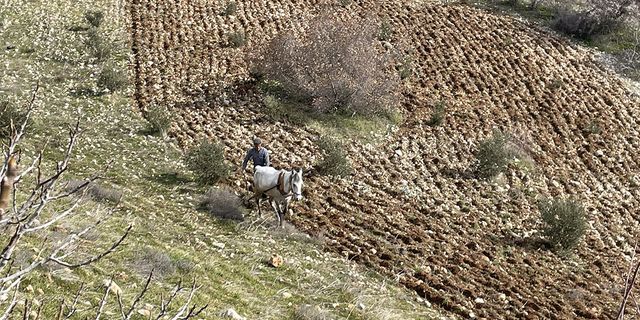 Deprem bölgesinde tarım umutlandırıyor!