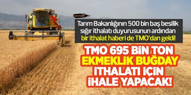 TMO, 695 bin ton ekmeklik buğday ithalatı için ihale yapacak!