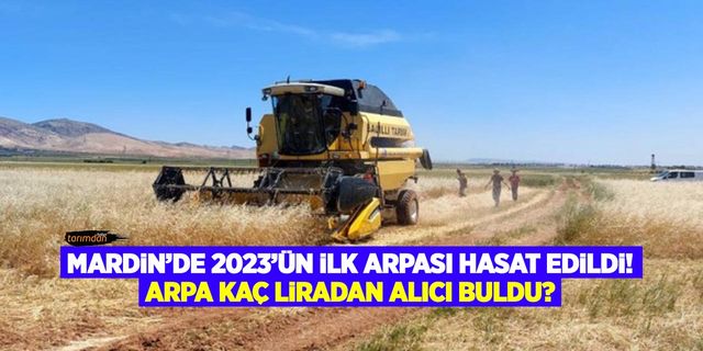 Mardin’de 2023 sezonunun ilk arpası hasat edildi! Arpa kaç liradan alıcı buldu?