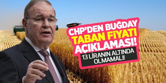 CHP'den buğday taban fiyatı açıklaması! Öztrak: Fark primi ile birlikte buğday fiyatı 13 liranın altında olmamalı!