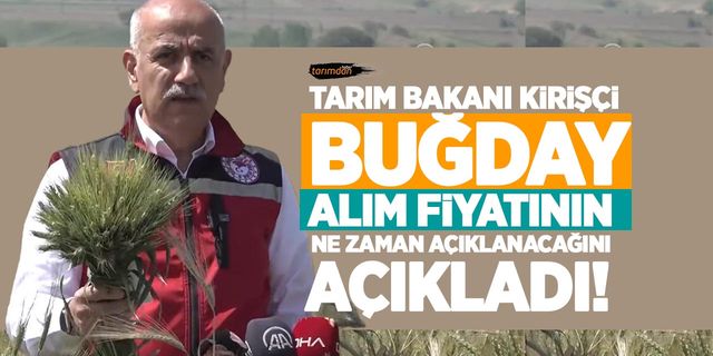 Tarım Bakanı Kirişçi, buğday tarlasında buğday alım fiyatları ile ilgili açıklama yaptı!