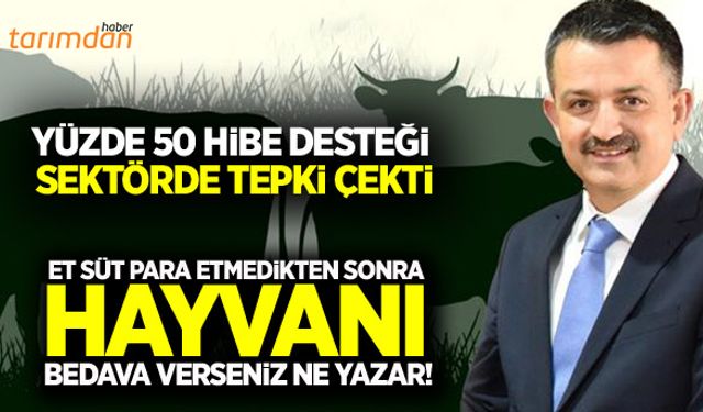 Hayvancılık yatırımlarına yüzde 50 hibe desteğine sektörden tepki!