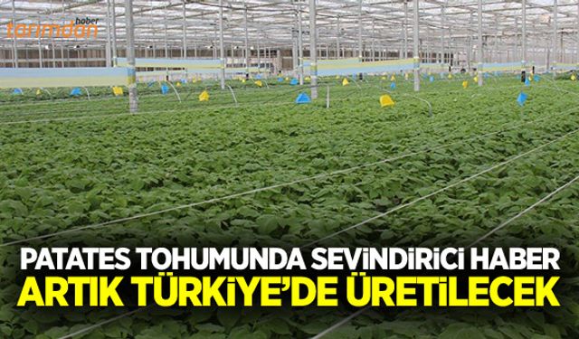Patates tohumunda sevindirici haber artık Türkiye’de üretilecek