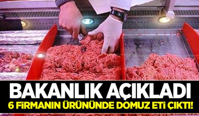 Bakanlık açıkladı: 6 firmanın ürününde domuz eti çıktı!