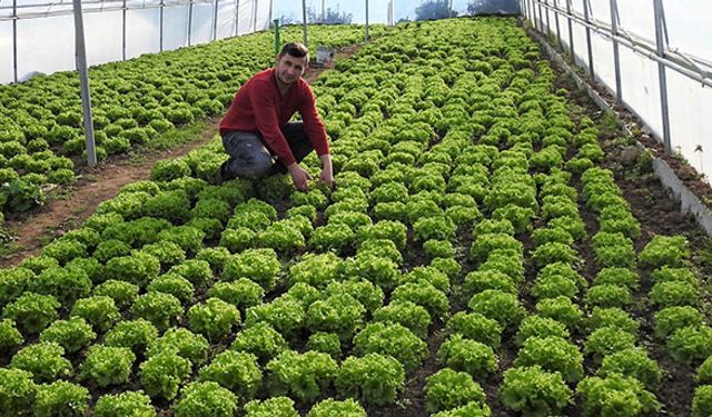 Genç çiftçilere önemli duyuru!