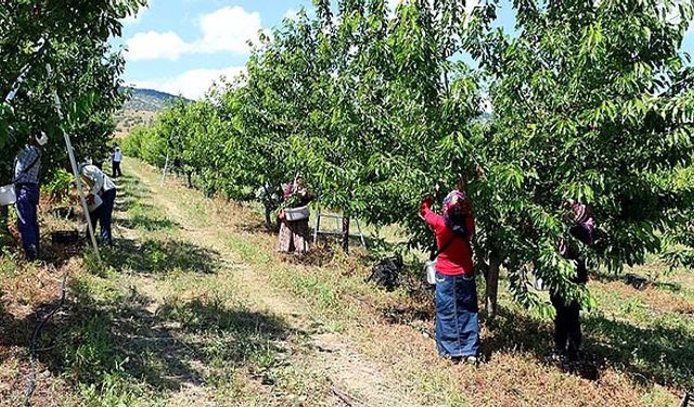 Olmaz denileni yaptılar!