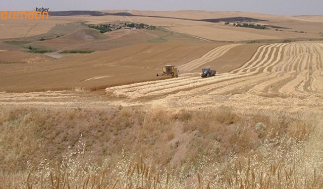 Diyarbakır’da destekler ödendi!