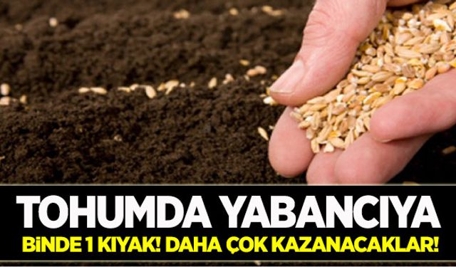 Tohumda yabancıya binde 1 kıyak!
