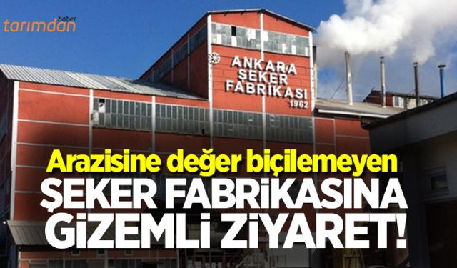 Arazisine değer biçilemeyen şeker fabrikasına gizemli ziyaret!
