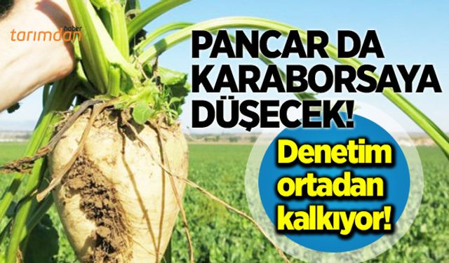 Pancarda denetim ortadan kalkıyor!