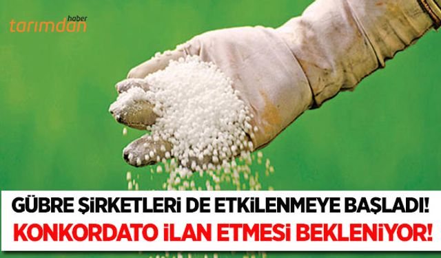 Konkordato süreci gübre firmalarına sıçradı!