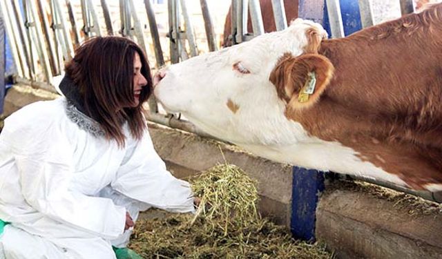 Mühendisliği bıraktı, çiftlik kurdu