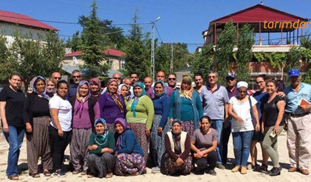 Çiftçilere tıbbi aromatik bitki yetiştiriciliği kursu